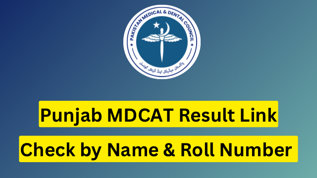 Punjab MDCAT Result