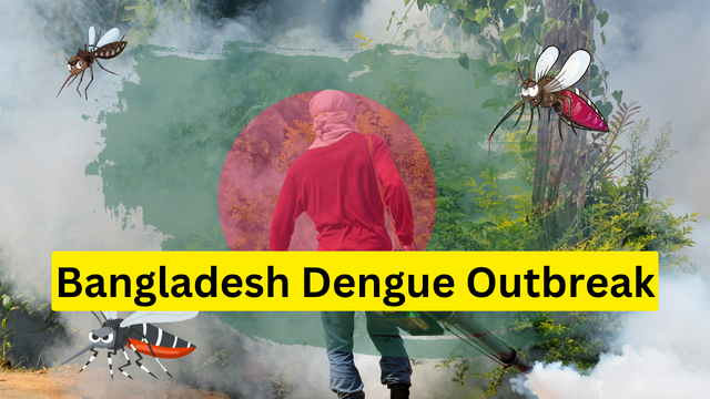 Bangladesh Dengue Outbreak